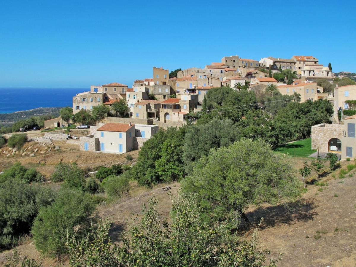 Holiday Home San Antoine - Iru140 By Interhome LʼÎle-Rousse Exterior foto